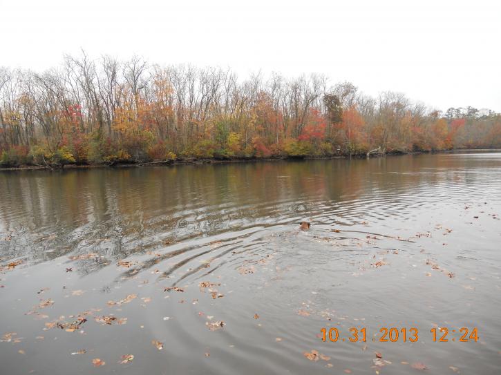 Image for Waterfront Properties Starting At Just $200,000 with ID of: 651492