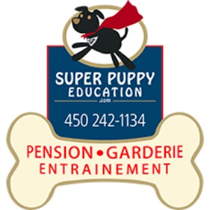 Image for Super Puppy Éducation with ID of: 6515462