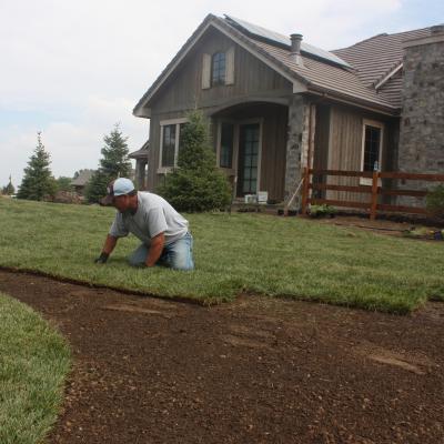 Image for Soil Rejuvenation with ID of: 651650