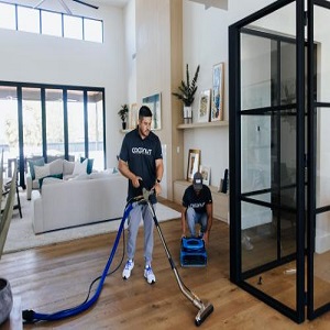 Image for Coconut Cleaning Co. with ID of: 5826646