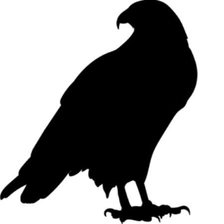 Image for Denver SEO Raptor with ID of: 6517312