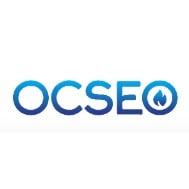 Image for OCSEO, Inc with ID of: 6518287