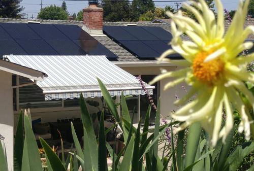 Image for Michael & Sun Solar, Inc. with ID of: 5829647