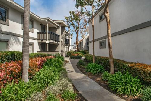 Image for Surf House Apartments with ID of: 5832821