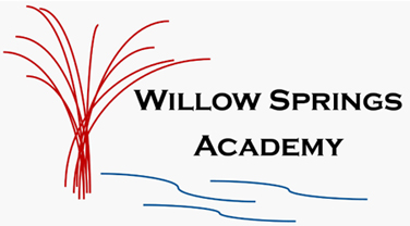 Image for Willow Springs Academy with ID of: 6521021