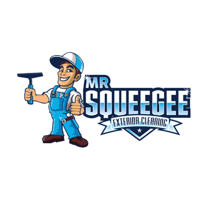 Image for Mr. Squeegee with ID of: 6521407