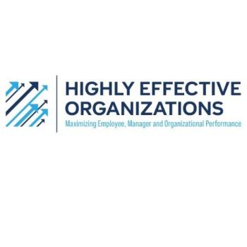 Image for Highly Effective Organizations with ID of: 6521662