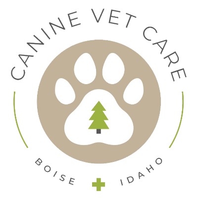 Image for Canine Vet Care with ID of: 6522801
