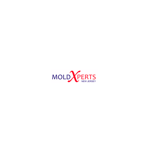 Image for Moldxpertsnj with ID of: 6523540