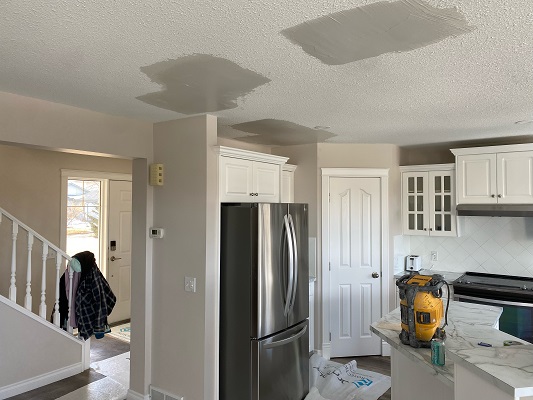 Image for The Poly B Plumbing Guys with ID of: 5834732