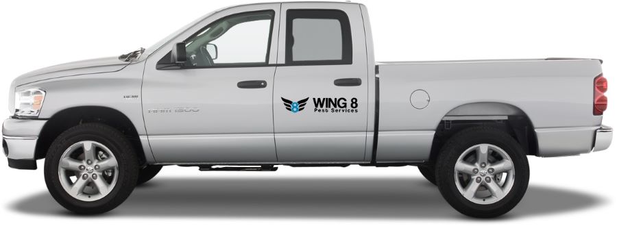 Image for WING 8 Pest Services with ID of: 5836211