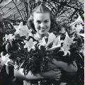 Image for Brainer's Greenhouse with ID of: 652602