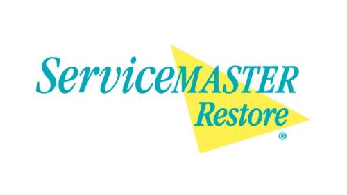 Image for ServiceMaster Restore with ID of: 6528087
