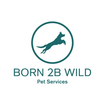 Image for Born 2B Wild Canine Academy with ID of: 6528467