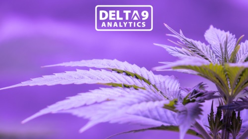 Image for Delta 9 Analytics with ID of: 5839775