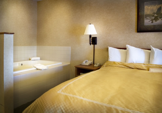 Image for Comfort Suites, Hayward with ID of: 652869