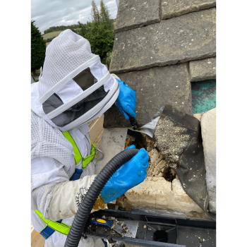 Image for Topline Pest Control Ltd with ID of: 5840029