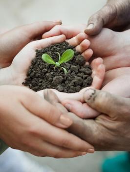 Image for Flourish Supportive Living with ID of: 5840557