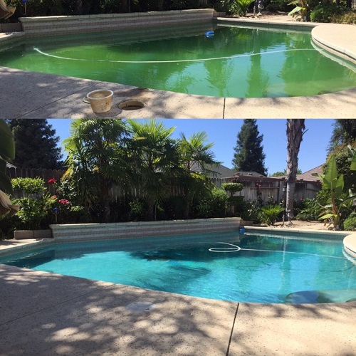Image for All Weather Pool Service with ID of: 5841628