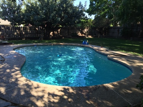 Image for All Weather Pool Service with ID of: 5841630