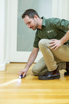 Image for Specialist Termite Control with ID of: 5842243