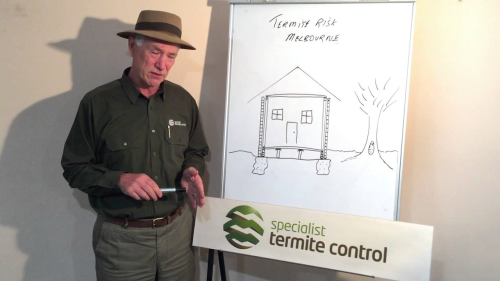 Image for Specialist Termite Control with ID of: 5842247