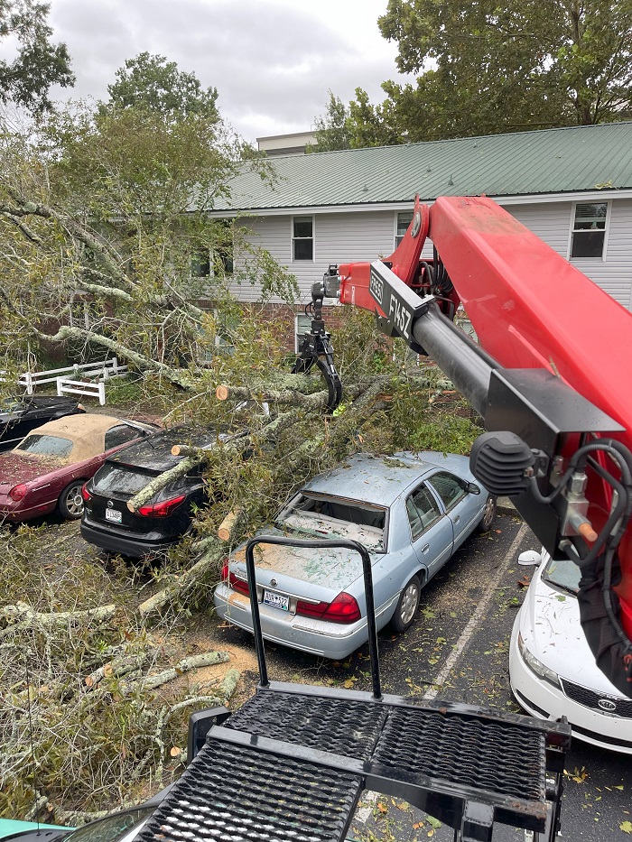 Image for Palmetto Tree Service with ID of: 5842520