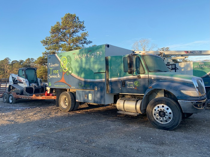 Image for Palmetto Tree Service with ID of: 5842522