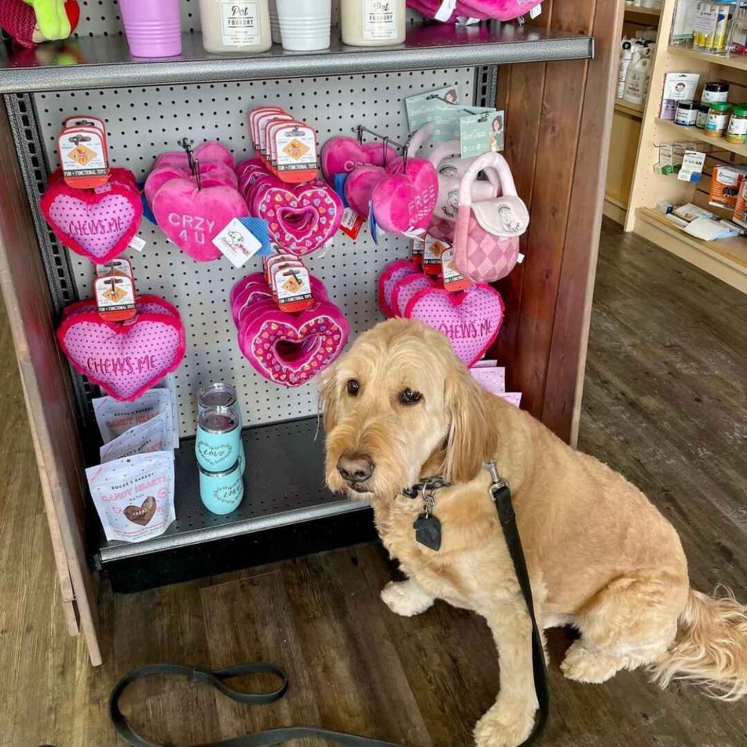 Image for Mutts & Co. with ID of: 5845461