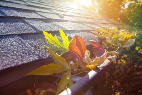 Image for Window Washing Expert with ID of: 5846083