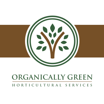 Image for Organically Green with ID of: 6531142