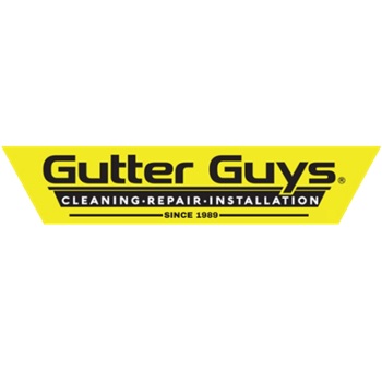 Image for Gutter Guys with ID of: 6532104