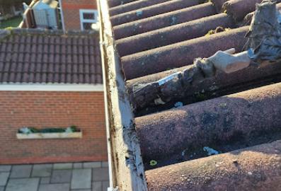 Image for Trust Your Gutters with ID of: 6532393