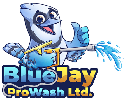 Image for Blue Jay ProWash with ID of: 6532572