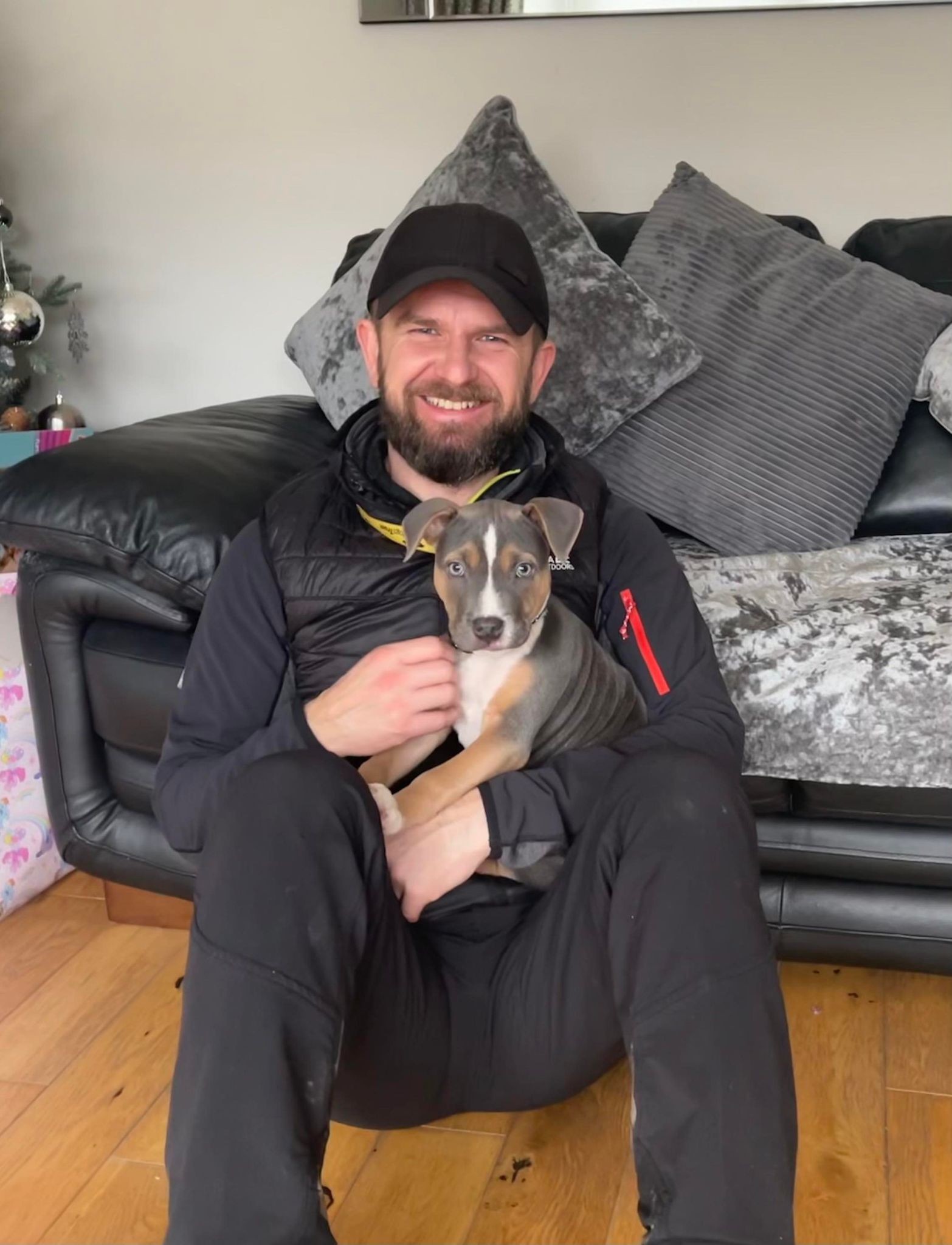 Image for CBT Dog Behaviour & Training with ID of: 5851183