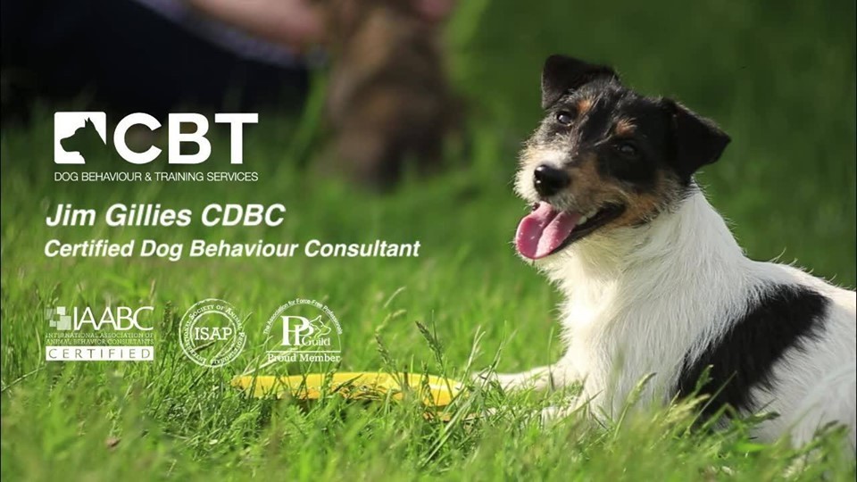Image for CBT Dog Behaviour & Training with ID of: 5851187