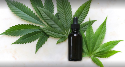 Image for Canada Bliss Herbals with ID of: 5851450