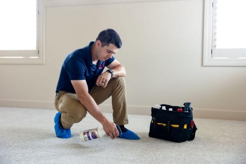 Image for Leone Restoration & Carpet Cleaning with ID of: 5852902