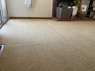Image for Zerorez Carpet Cleaning with ID of: 5855738