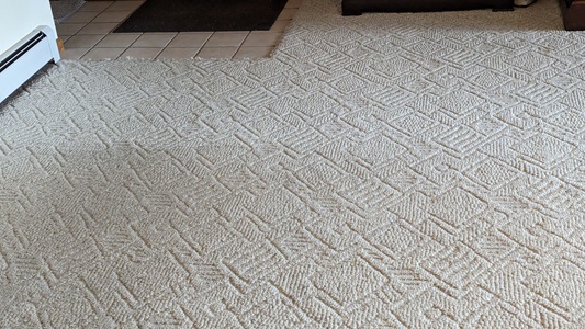 Image for Zerorez Carpet Cleaning with ID of: 5855746