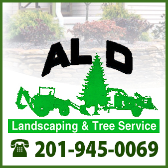 Image for AL D Landscaping and tree service with ID of: 654023