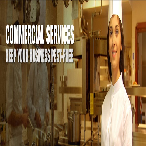 Image for Bain Pest Control Service with ID of: 654028