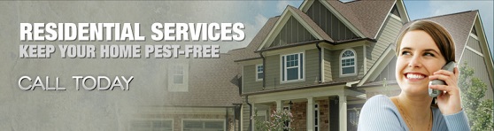 Image for Bain Pest Control Service with ID of: 654030