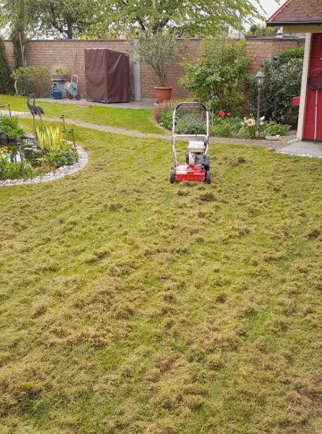 Image for Gartenarbeiten Burkhardt with ID of: 5857623