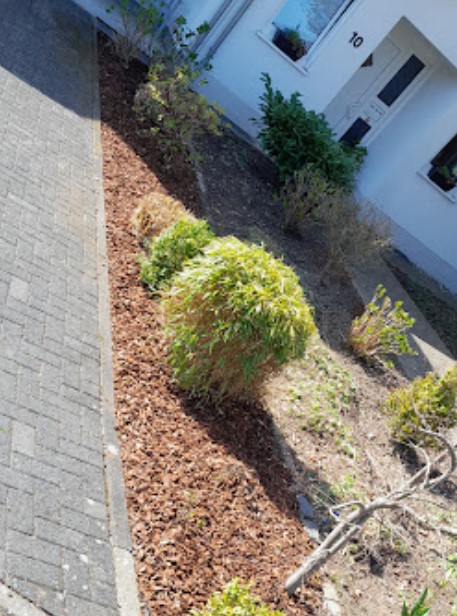 Image for Gartenarbeiten Burkhardt with ID of: 5857627
