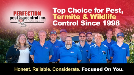 Image for Perfection Pest Control with ID of: 5857674