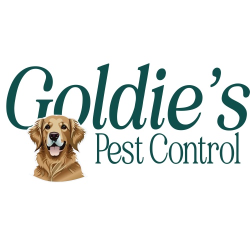 Image for Goldie's Pest Control with ID of: 6542824