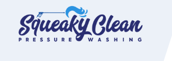 Image for Squeaky Clean Pressure Washing with ID of: 6546877