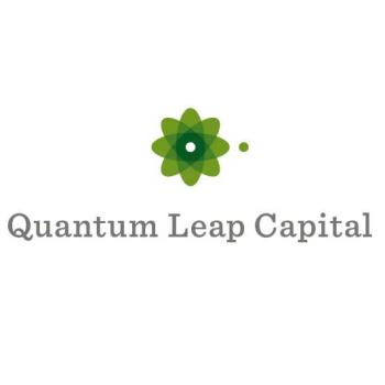 Image for Quantum Leap Capital with ID of: 6548360