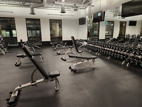 Image for Fitness World with ID of: 5863992